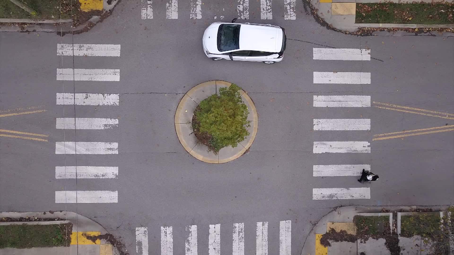 Thumbnail image for How to Navigate a Neighborhood Traffic Circle